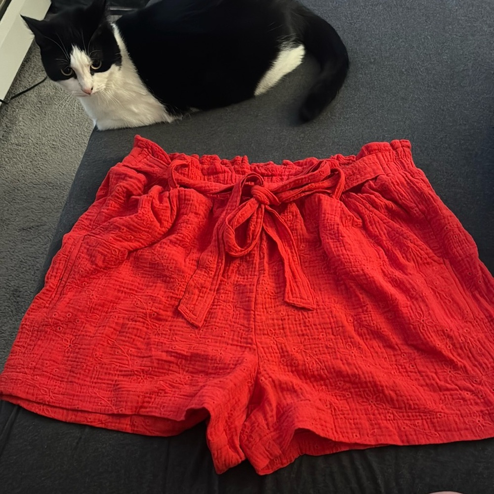 Knox Rose High Waist Red Shorts